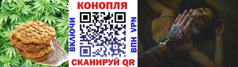 Cannafood конопля  Борисоглебск 