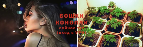 дживик Беломорск