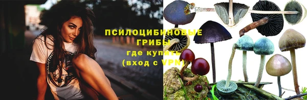 гашик Богданович