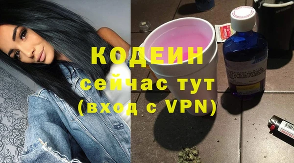 гашик Богданович