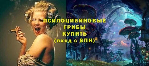 дживик Беломорск
